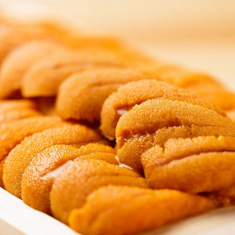 Canadian Sea Urchin (UNI)