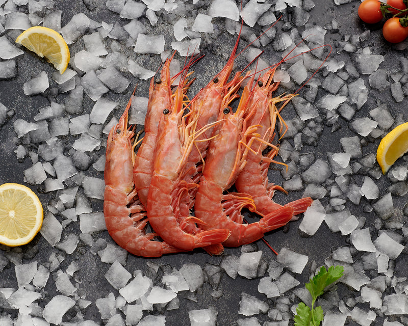 Smashing Seafood Christmas Hamper