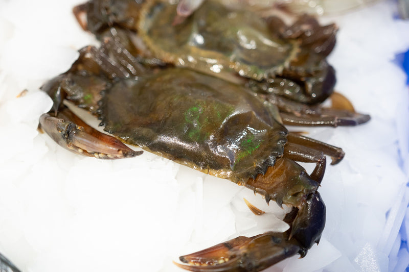Soft Shell Crabs Jumbo
