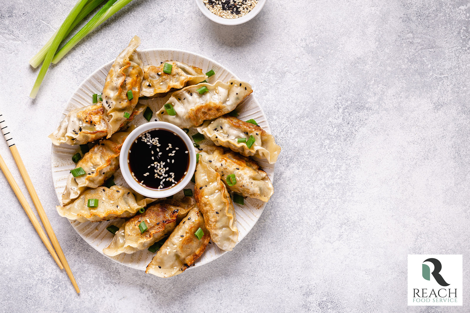 veggyoza_1600x.jpg?v=1605782936